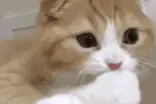 每日一笑 | 那你说咋办图片