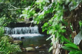 湖州最美的5条自驾路线，你走过吗？图片