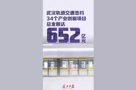 投资550亿，武汉再建一座地铁小镇！位置已明确图片