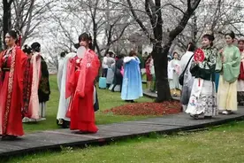 穿着汉服赏樱花，在顾村樱花节感受别样春意视频封面