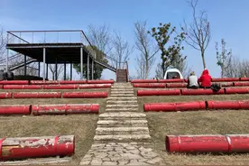 春天的郊野公园美炸！人一多，服务跟上了吗？停车难、走累了怎么办？公厕够吗图片