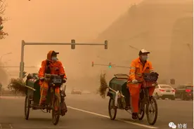 一波从蒙古国飞来的沙图片