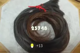 网友一年攒下掉发23748根，握起来竟厚厚一把！医生：正常图片