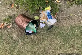 垃圾没倒？和老公吵架太生气，直接将垃圾桶从10楼扔下！杭州一女子因高空抛物被拘留图片