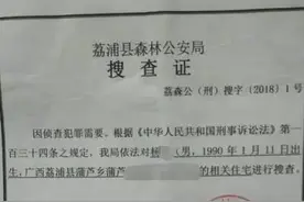 荔浦一男子市场购买鹦鹉自学技术繁殖，售卖4只获刑5年罚款2万图片
