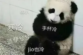 最低6℃！为了劝我们装暖气，成都这天气拼了图片