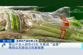 “葱荒”来了？！这里1公斤卖到43元！民众直呼“吃不起”！自己在家种…图片