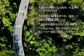 权威快报 | 2021年国际森林日来了！7组数据看森林对我们多重要图片