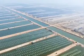 70秒丨滨州沾化区滨海镇：渔业赋能“海味”经济 强力助推乡村振兴图片