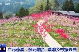四川新闻联播｜广元苍溪：多元融合 唱响乡村振兴曲图片