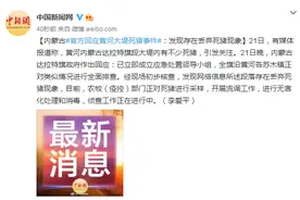 内蒙古官方回应黄河大堤死猪事件：发现存在丢弃死猪现象图片