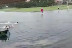 澳大利亚悉尼遭暴雨袭击 大学生洪水中进行游泳比赛图片