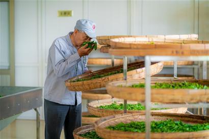 茶叶消费将迎黄金期