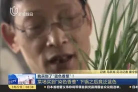 我买到了“蓝色香葱”！  菜场买到“染色香葱”下锅之后竟泛蓝色视频封面
