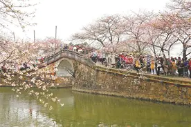 盛花期启幕 大客流来临图片
