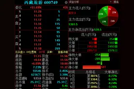 近14亿重组遭火速问询，西藏旅游早盘一度涨停图片