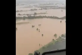 澳大利亚洪水泛滥，大量蜘蛛、蛇躲进人类住处图片