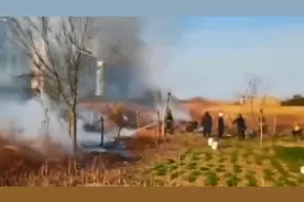 谨防火灾！8旬老人开荒地烧杂草险酿大祸