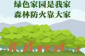 这份森林防灭火“秘籍”，请查收图片