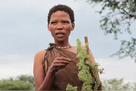 寻找神秘的布须曼人，一次人类学探寻之旅图片