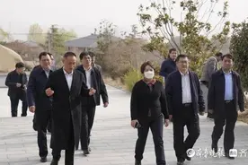 山东省文旅厅领导到岱岳区考察乡村旅游片区工作图片