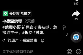 长沙禁毒民警抓走“铲屎官”，小奶猫着急嚎叫，民警把猫带回温柔照看，网友：为了它别再违法了图片