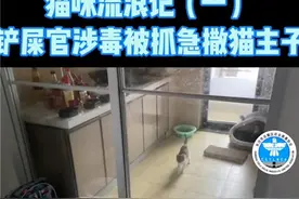长沙禁毒民警抓走“铲屎官”，小奶猫着急嚎叫，民警把猫带回温柔照看，网友：为了它别再违法了图片