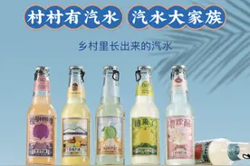 轻食、快餐连锁之后，元气森林又投资了一家啤酒公司图片