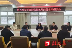 平舆县人大莅临古槐街道开展人大代表议案、建议 落实情况回头看图片