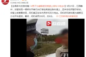 这得多大的游戏瘾！男子为缓解疲劳高速上停车斗地主图片