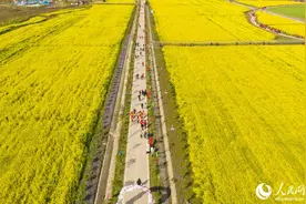 安徽望江：50万亩油菜花海的春日之约图片