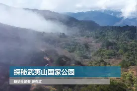 探秘武夷山国家公园视频封面
