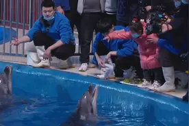 120秒｜欧乐堡“托儿所”开班啦！ 海豚 白狮 袋鼠众萌宠欢乐齐亮相视频封面