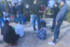 危害珍贵濒危野生动物，10人被刑拘图片