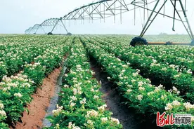 河北张家口实施地下水超采综合治理探访图片