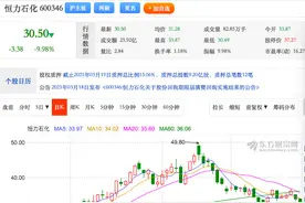 千亿牛股恒力石化跌停：龙虎榜5机构角力，狂买不敌狂卖图片