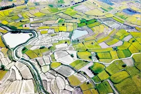 小岗起惊雷 改革逐浪高图片