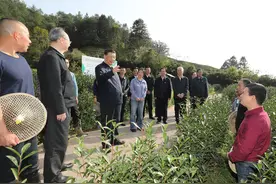 习近平：没有中华五千年文明，哪有我们今天的成功道路图片