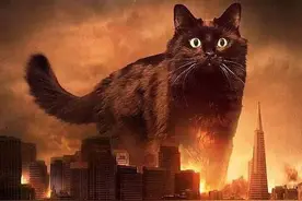 《哥斯拉大战金刚》还没上映，一只霸气喵星人先火了图片