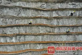 “绿植人”峭壁上每日忙碌，柳州废弃石头山披绿装图片