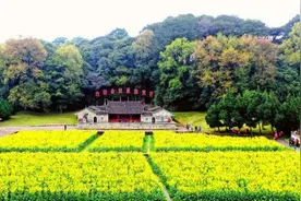 从古田再出发，迈向振兴新征程图片