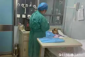哥哥造血功能衰竭，两岁妹妹的脐带血成救命良药图片