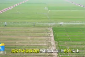 51秒｜德州武城：自走喷灌机登场 实现水肥一体化、节水60%图片