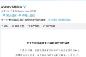 200人在梧桐山风景区蹦野迪？官方：已报警并举报相关账号图片
