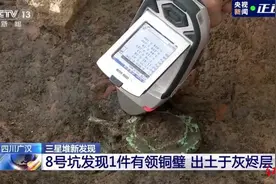 三星堆8号坑发现红烧土块、铜铃等疑似与建筑有关 专家：可能是神庙遗迹图片