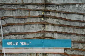 峭壁上的“植绿人”视频封面