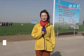 山东：智慧春耕忙 快来围观田里黑科技视频封面