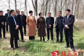 聂晓光书记深入嫘祖海棠园、凤凰大桥等地调研基础设施建设推进工作图片