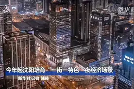 今年起沈阳培育“一街一特色”夜经济场景视频封面