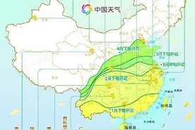 一沐春风万顷黄！全国油菜花地图 看哪里花开正艳？图片